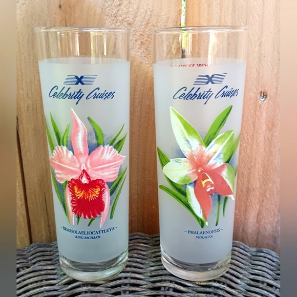 Celebrity Cruise Line Frosted Orchid Glasses #7001 & #7003 - Picture 1 of 6